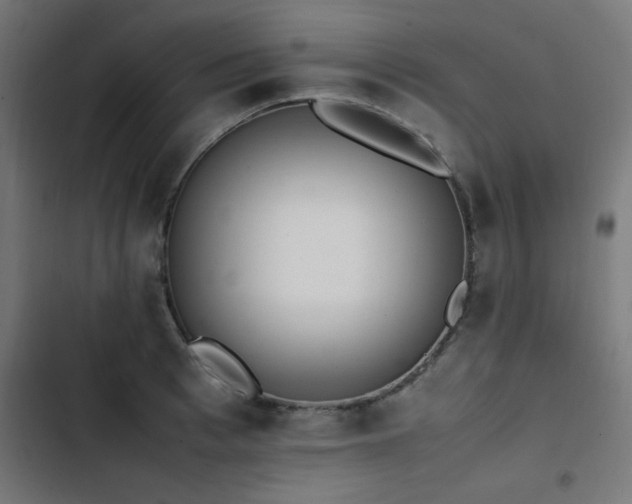 X0000103450993200809121423