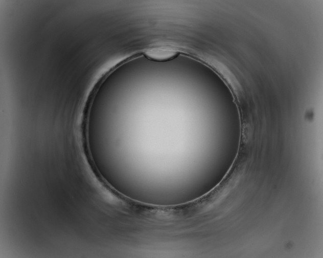 X0000103450995200809121423