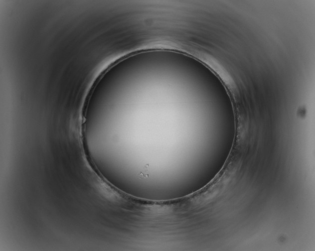 X0000103450996200809121423