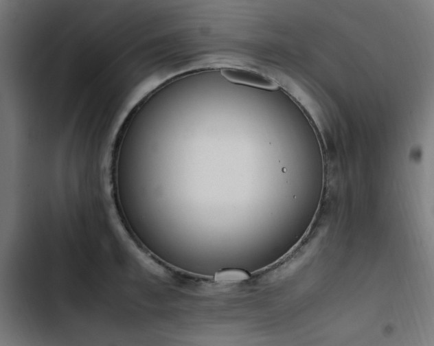X0000103450997200809121423