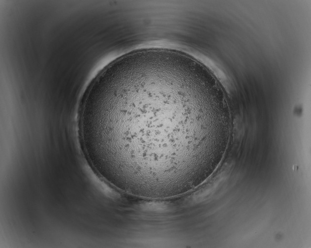X0000103450998200809121423