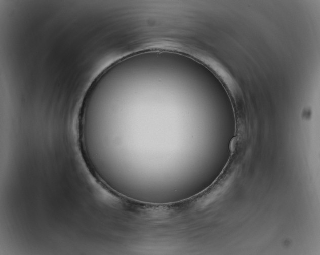 X0000103450999200809121423