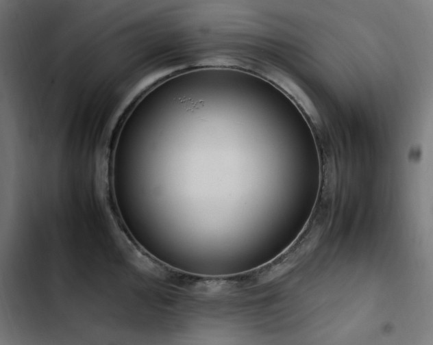 X0000103451000200809121423