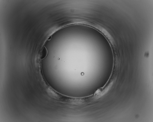 X0000103451001200809121423
