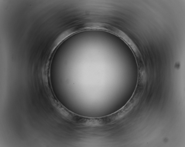 X0000103451002200809121423