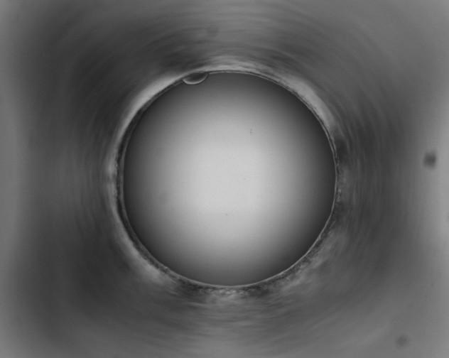 X0000103451003200809121423