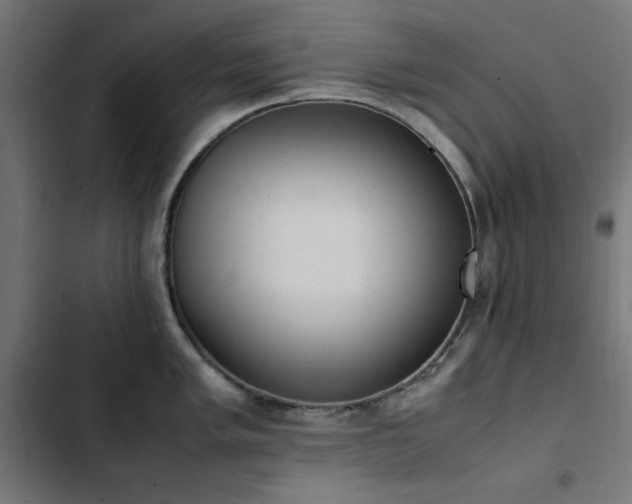 X0000103451005200809121423
