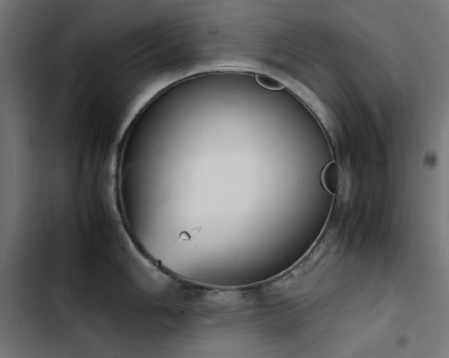 X0000103451006200809121423