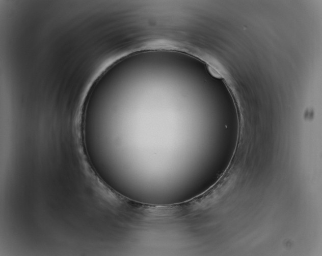 X0000103451008200809121423