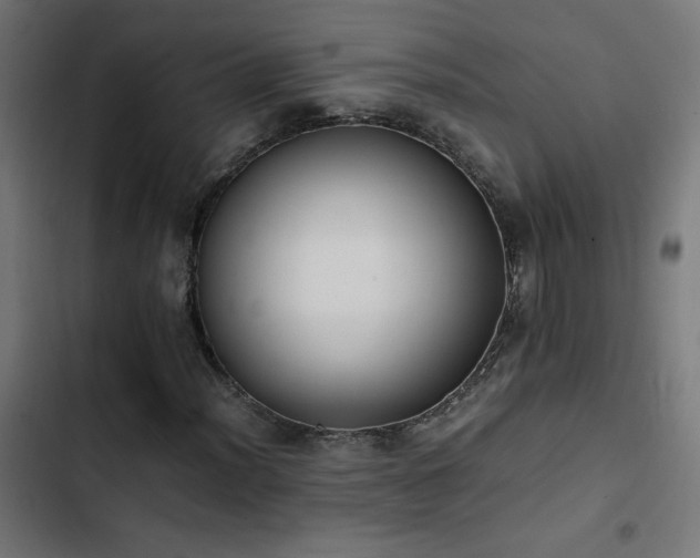 X0000103451012200809121422