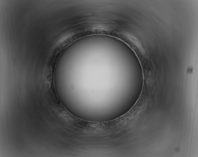 X0000103451015200809121422