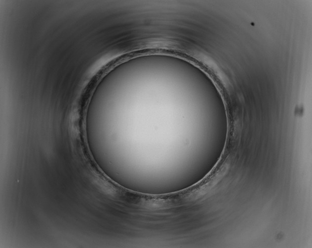 X0000103451019200809121422