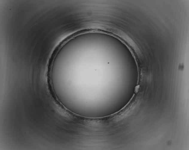 X0000103451020200809121422