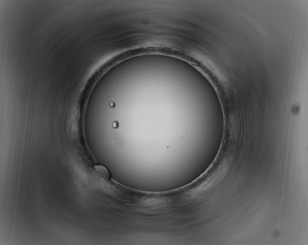 X0000103451021200809121422