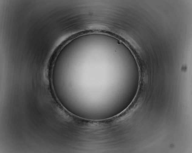 X0000103451022200809121422