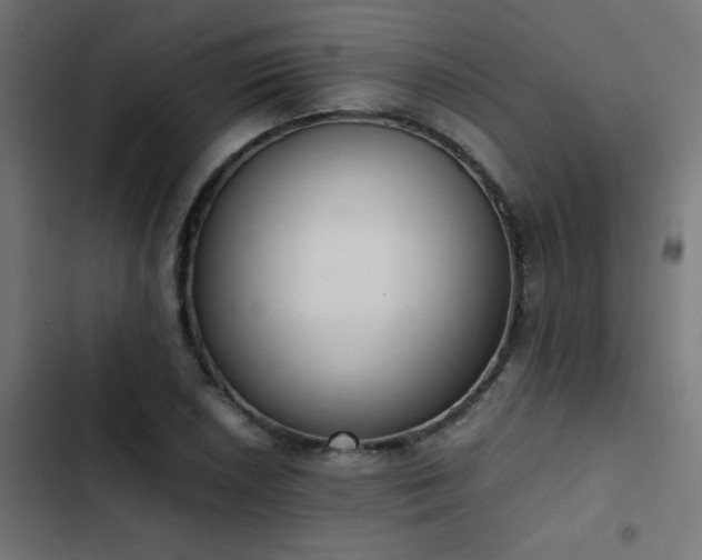 X0000103451026200809121422