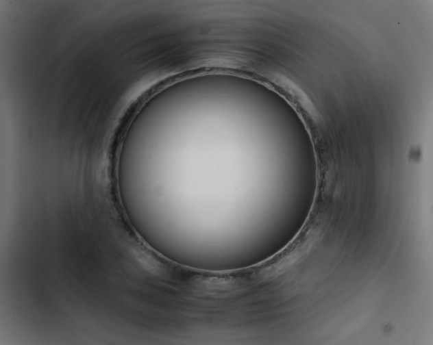 X0000103451027200809121422