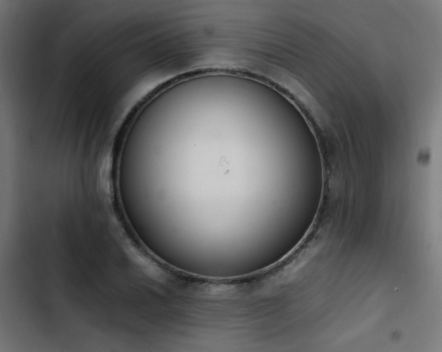 X0000103451030200809121422