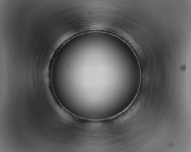 X0000103451034200809121422