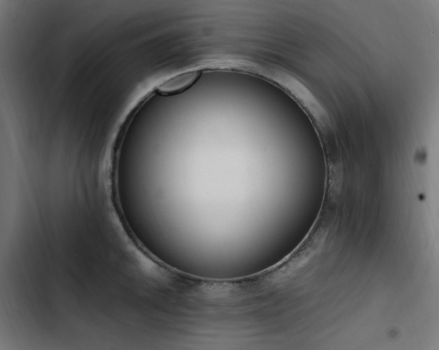 X0000103451046200809121422