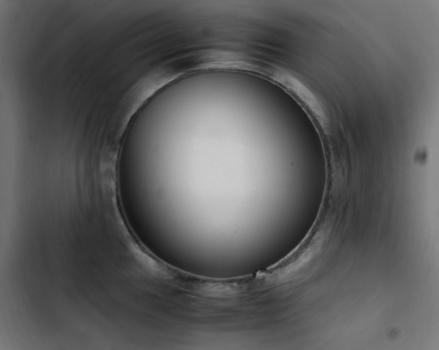 X0000103451049200809121422