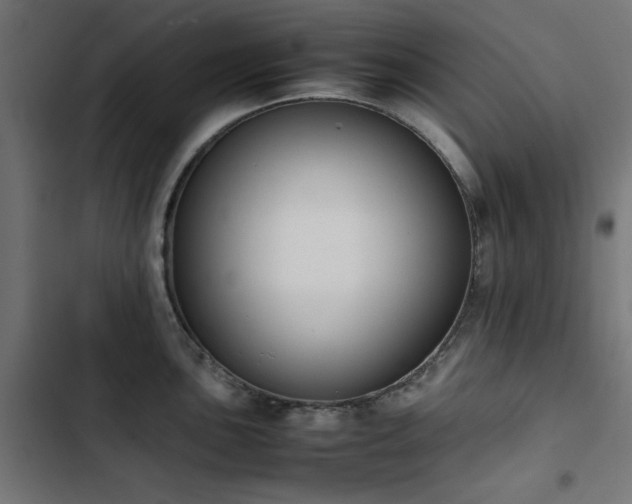 X0000103451051200809121423