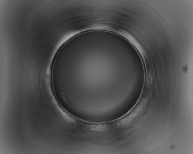 X0000103451053200809121423