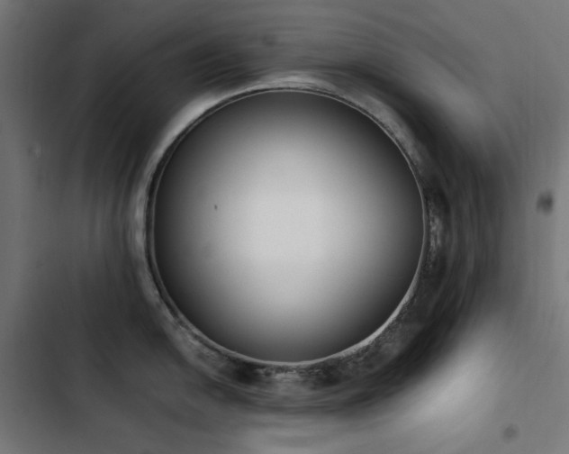 X0000103451054200809121423