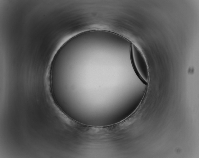 X0000103451056200809121423