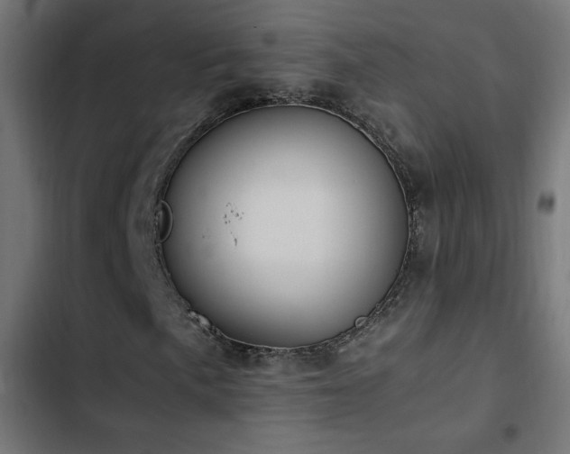 X0000103451057200809121422