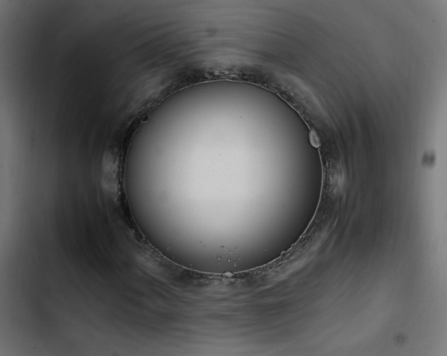 X0000103451060200809121422