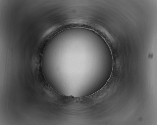 X0000103451064200809121422