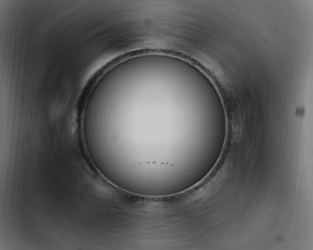 X0000103451070200809121422