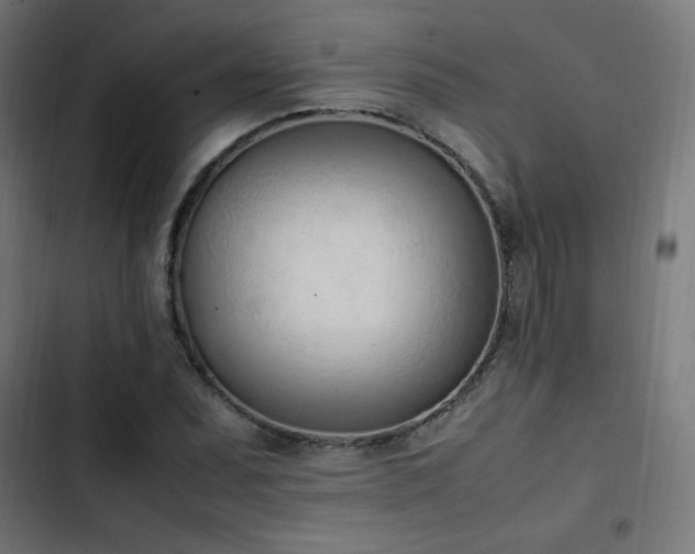 X0000103451071200809121422