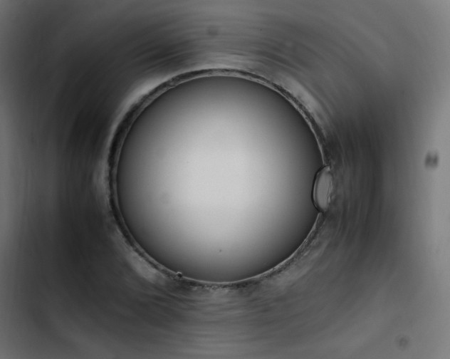 X0000103451072200809121422