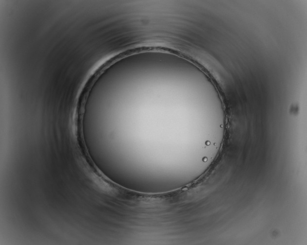 X0000103451076200809121422