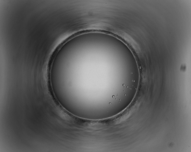 X0000103451077200809121421