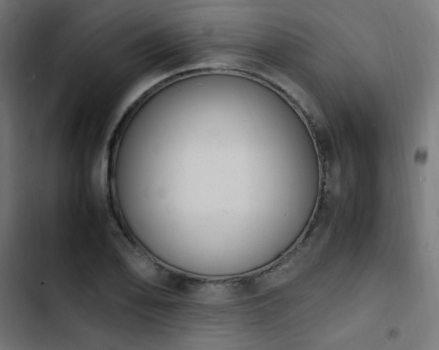 X0000103451078200809121421