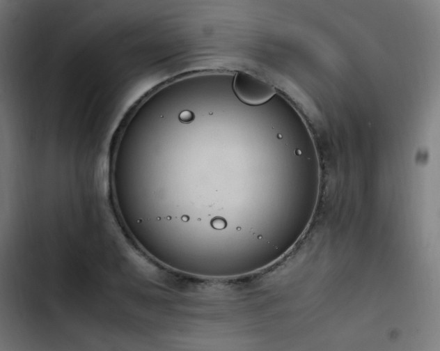 X0000103451079200809121421