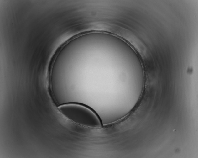X0000103451080200809121421