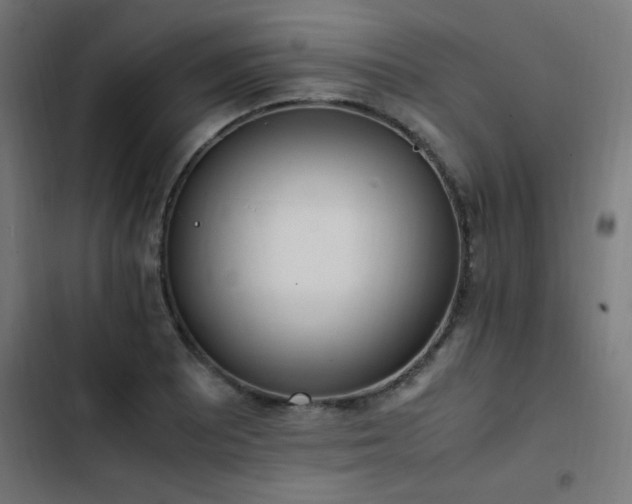 X0000103451081200809121421