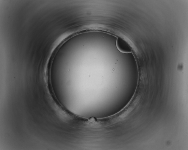 X0000103451082200809121421