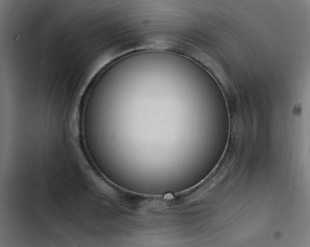 X0000103451083200809121421
