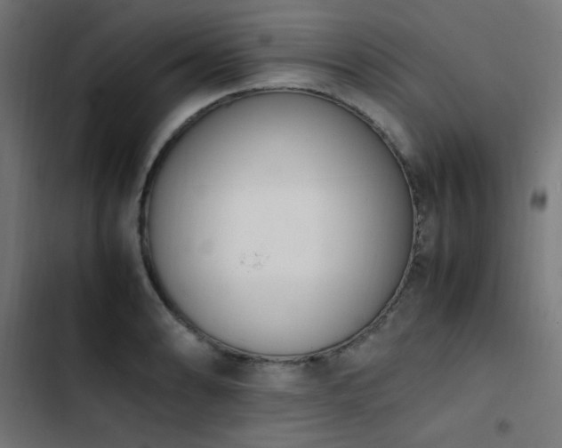 X0000103451086200809121421