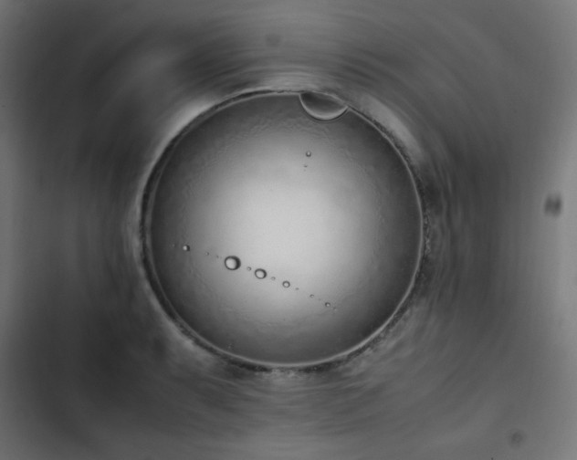X0000103451087200809121421