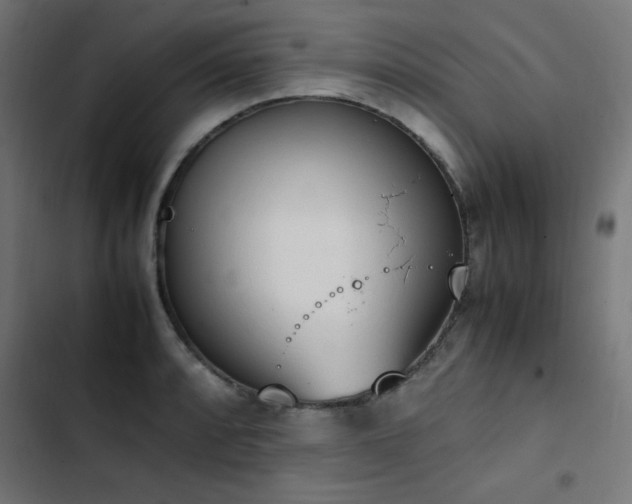 X0000103451088200809121421