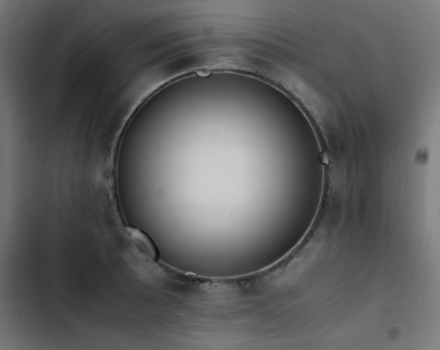 X0000103451089200809121421