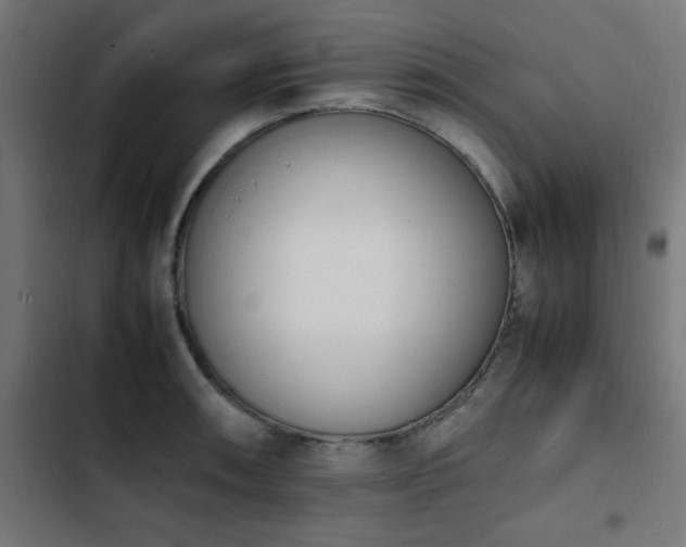 X0000103451090200809121421