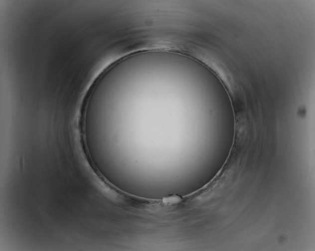 X0000103451091200809121421