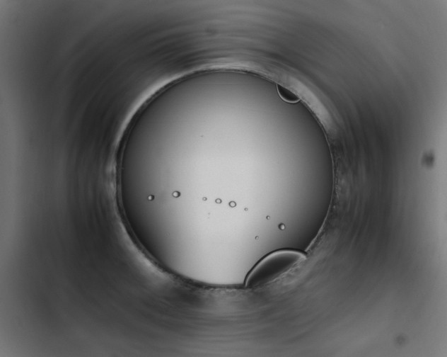 X0000103451092200809121421